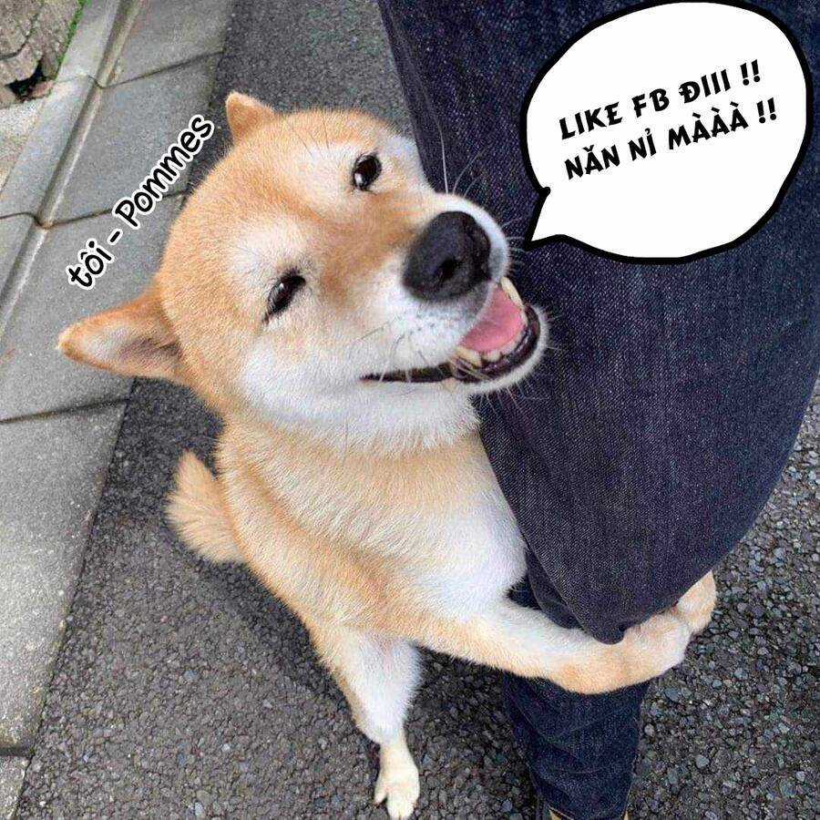 Beat And Motion - Chapter 2 - Trang 49