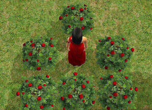 Bella's Story - Chapter 5.4 - Trang 6