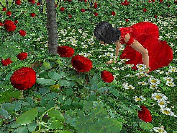 Bella's Story - Chapter 8.4 - Trang 14