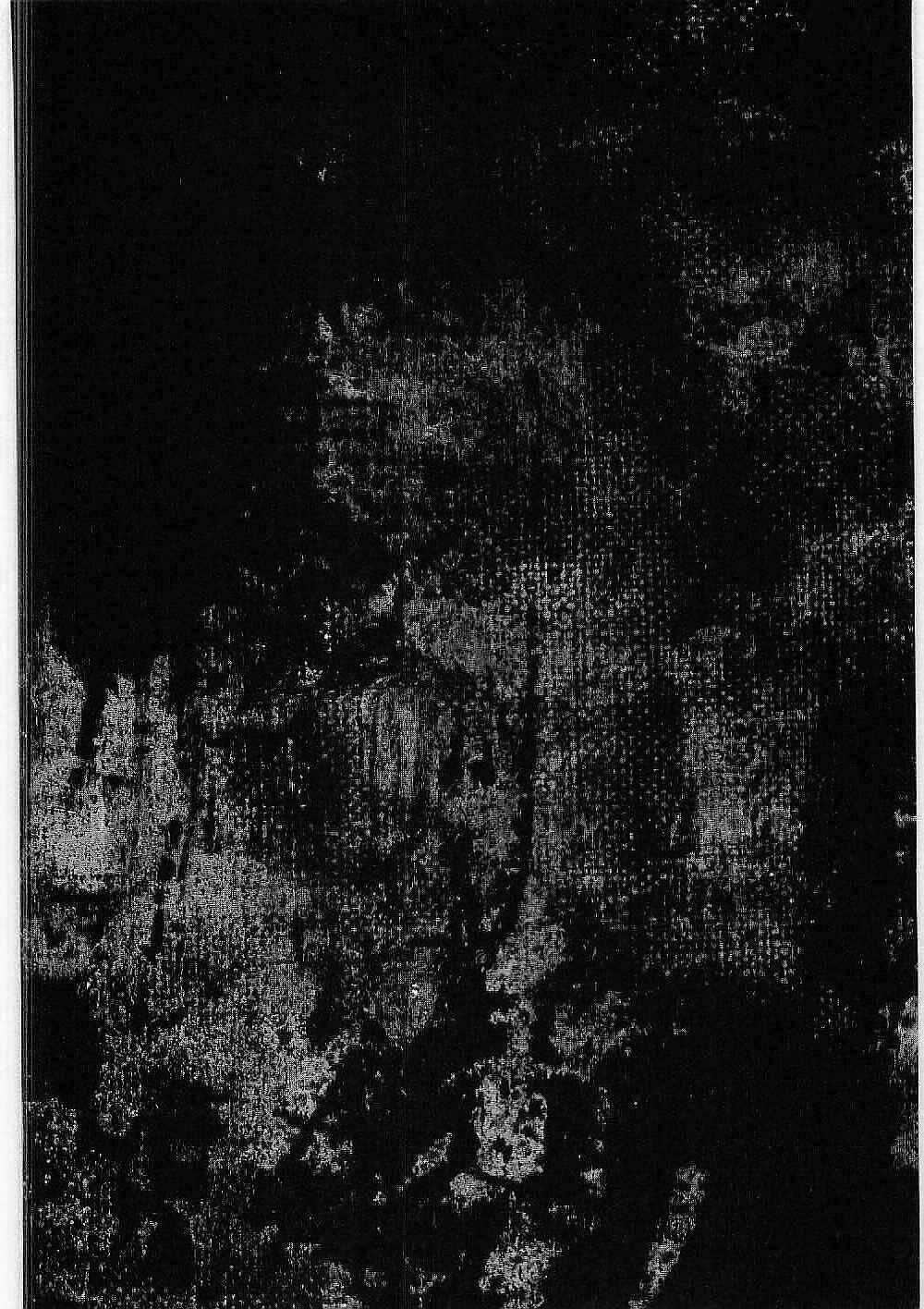 Bestia - Chapter 12 - Trang 50