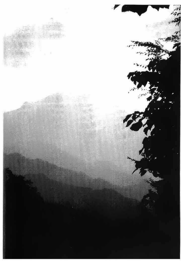 Bestia - Chapter 20 - Trang 5