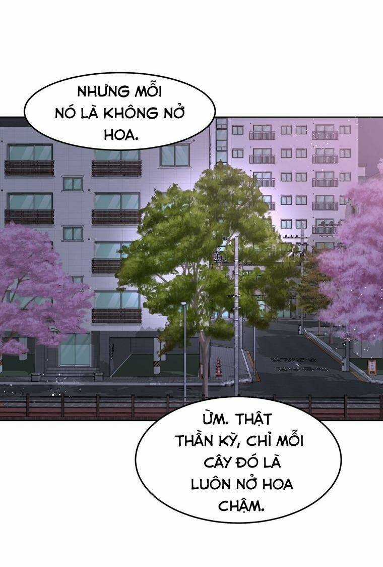 Bí Mật Highteen - Chapter 15 - Trang 61