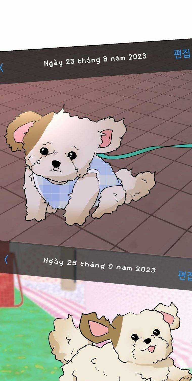 Bí Mật Highteen - Chapter 19 - Trang 14