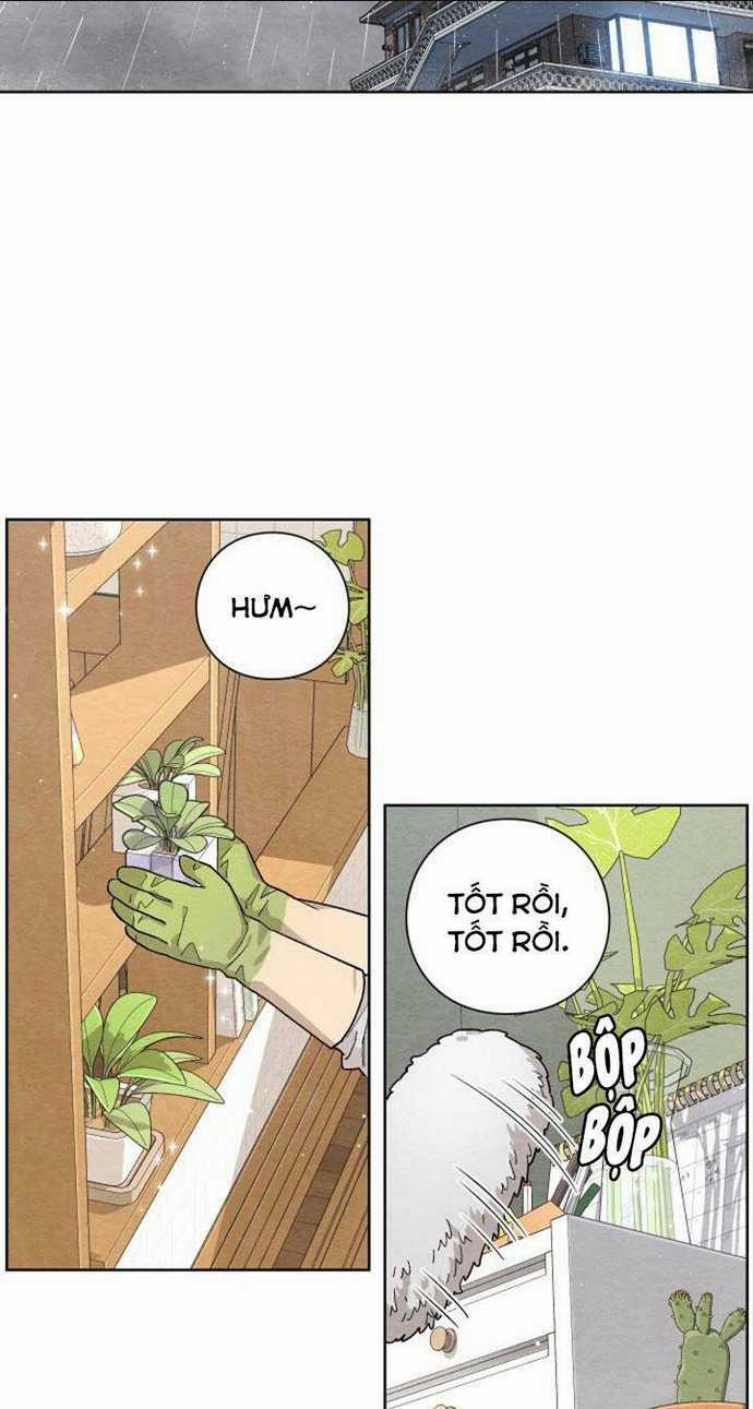 Bí Mật Thanh Xuân - Chapter 1 - Trang 64