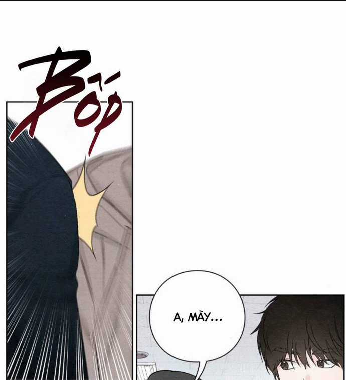 Bí Mật Thanh Xuân - Chapter 21 - Trang 11