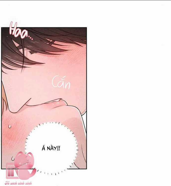 Bí Mật Thanh Xuân - Chapter 36 - Trang 11