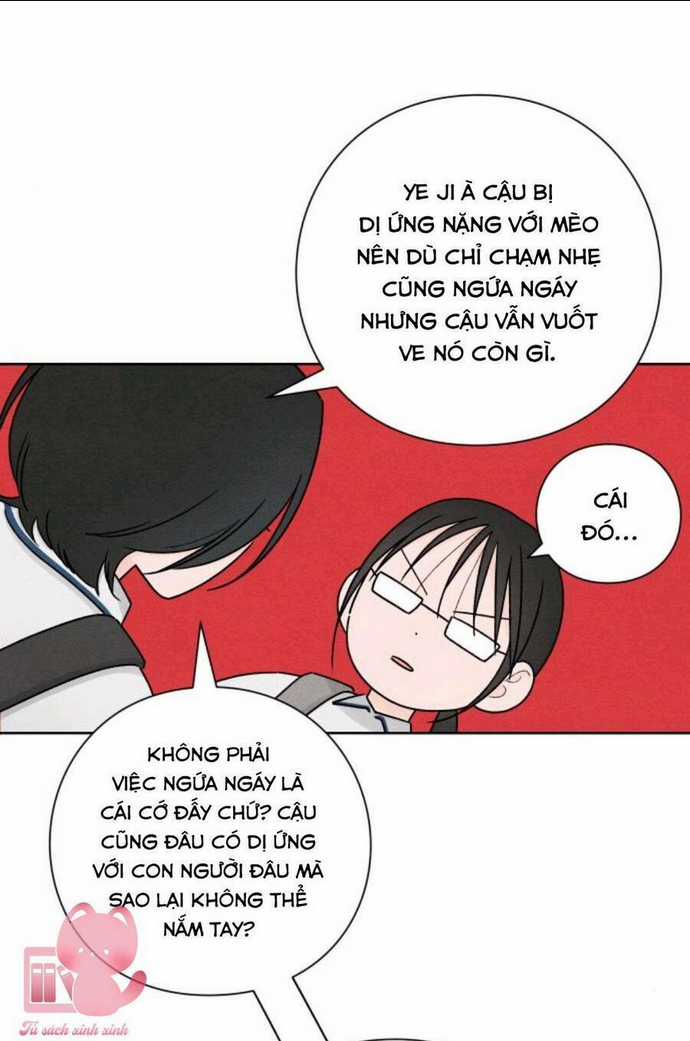 Bí Mật Thanh Xuân - Chapter 40 - Trang 52