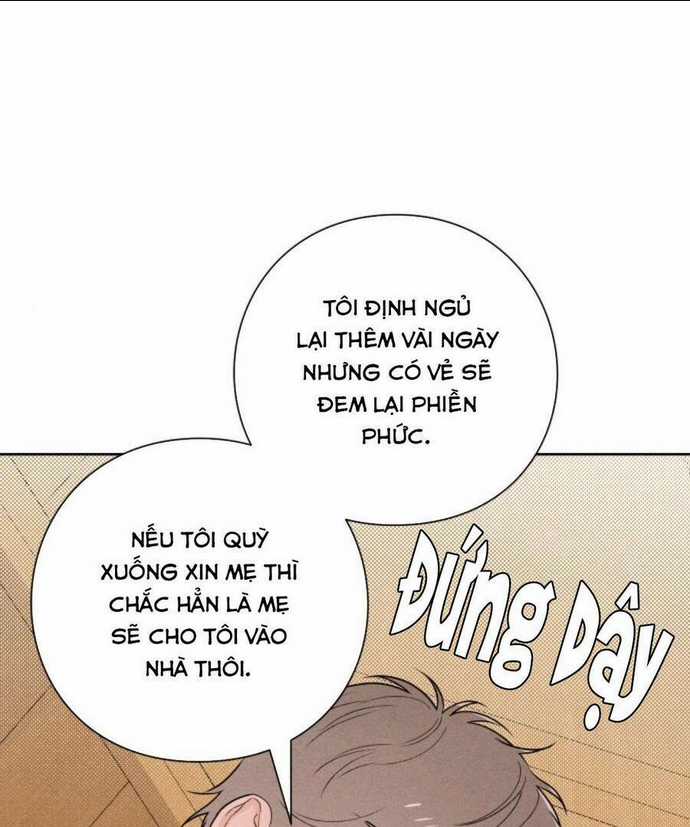 Bí Mật Thanh Xuân - Chapter 41 - Trang 33