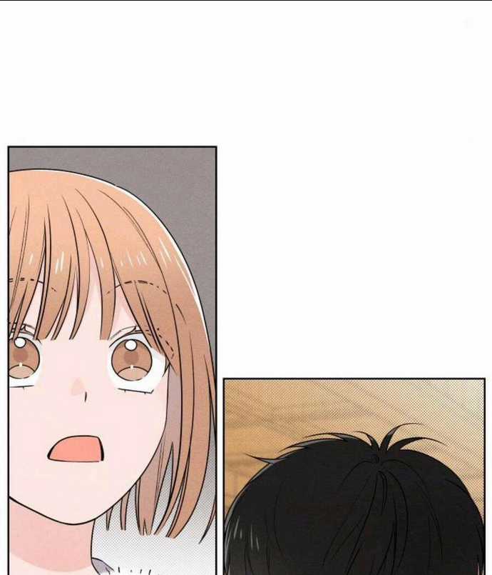 Bí Mật Thanh Xuân - Chapter 41 - Trang 41