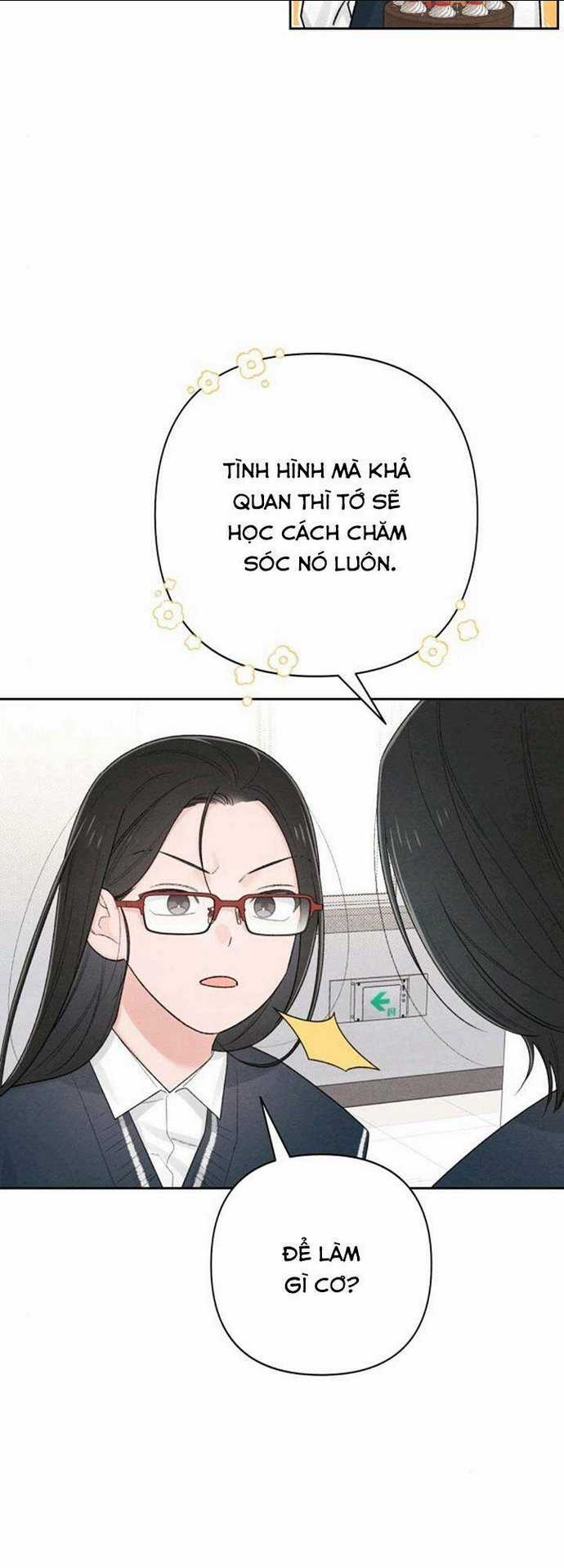 Bí Mật Thanh Xuân - Chapter 60 - Trang 5