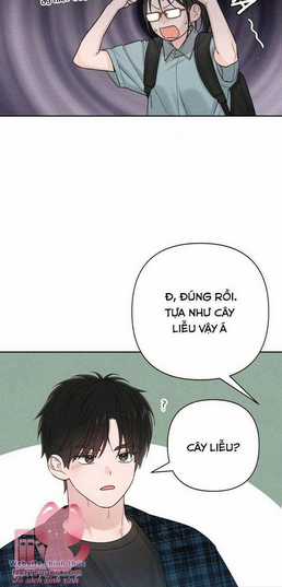 Bí Mật Thanh Xuân - Chapter 66 - Trang 12