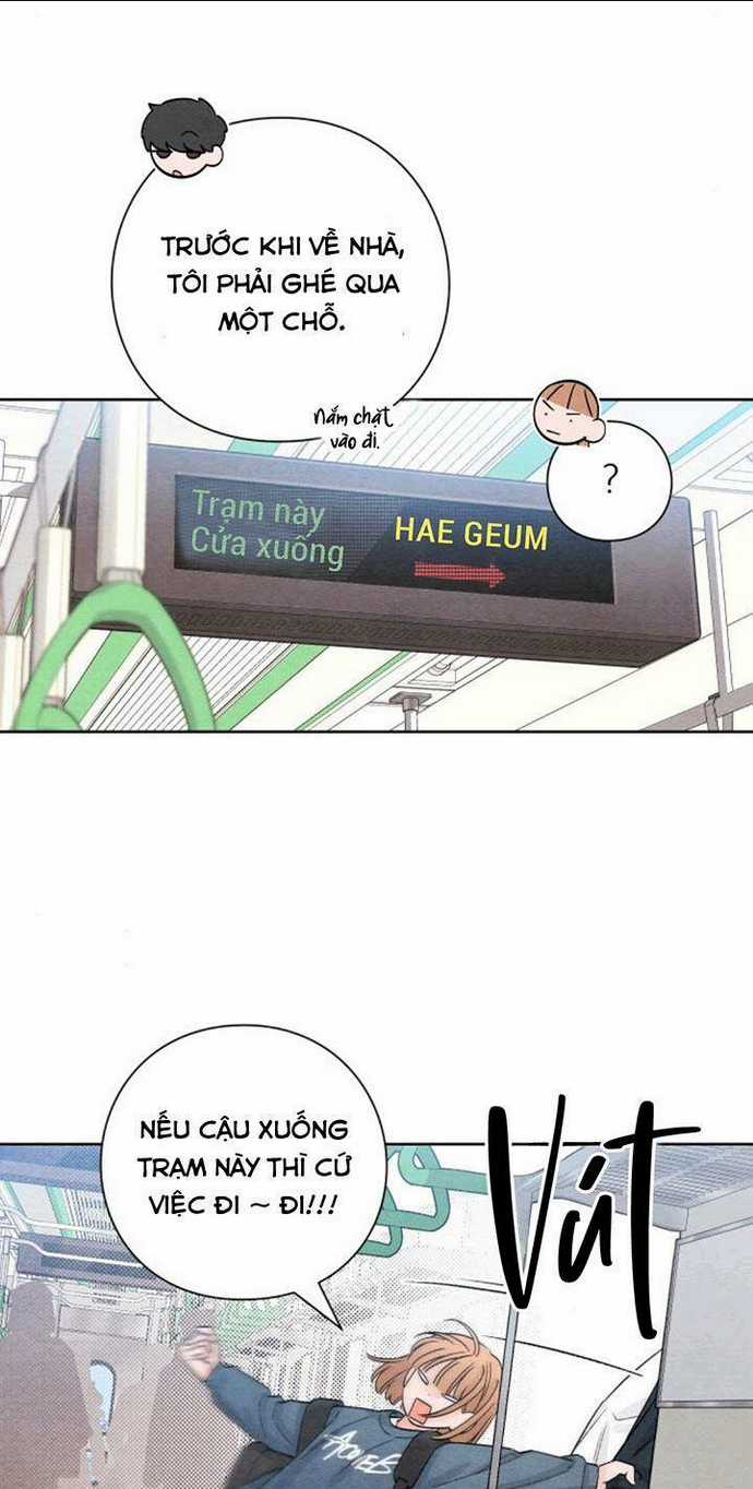Bí Mật Thanh Xuân - Chapter 7 - Trang 15