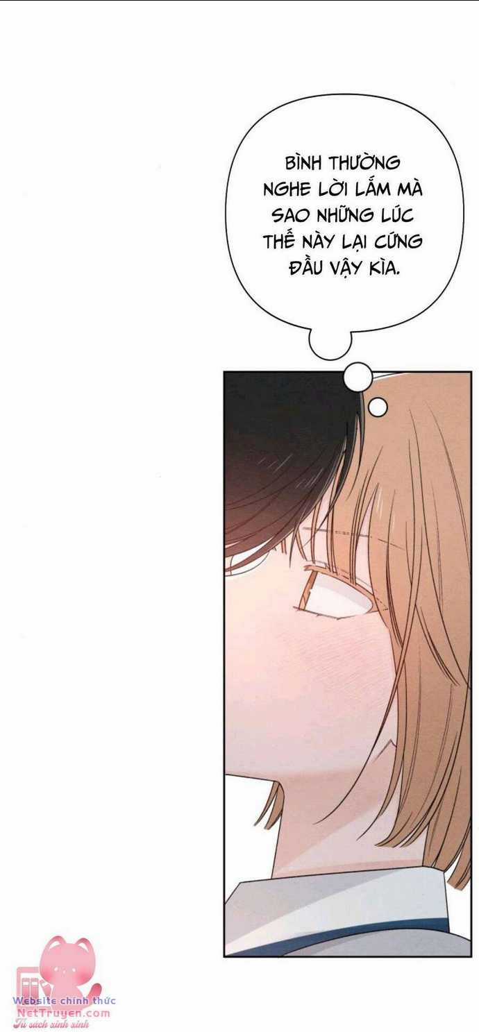 Bí Mật Thanh Xuân - Chapter 71 - Trang 8