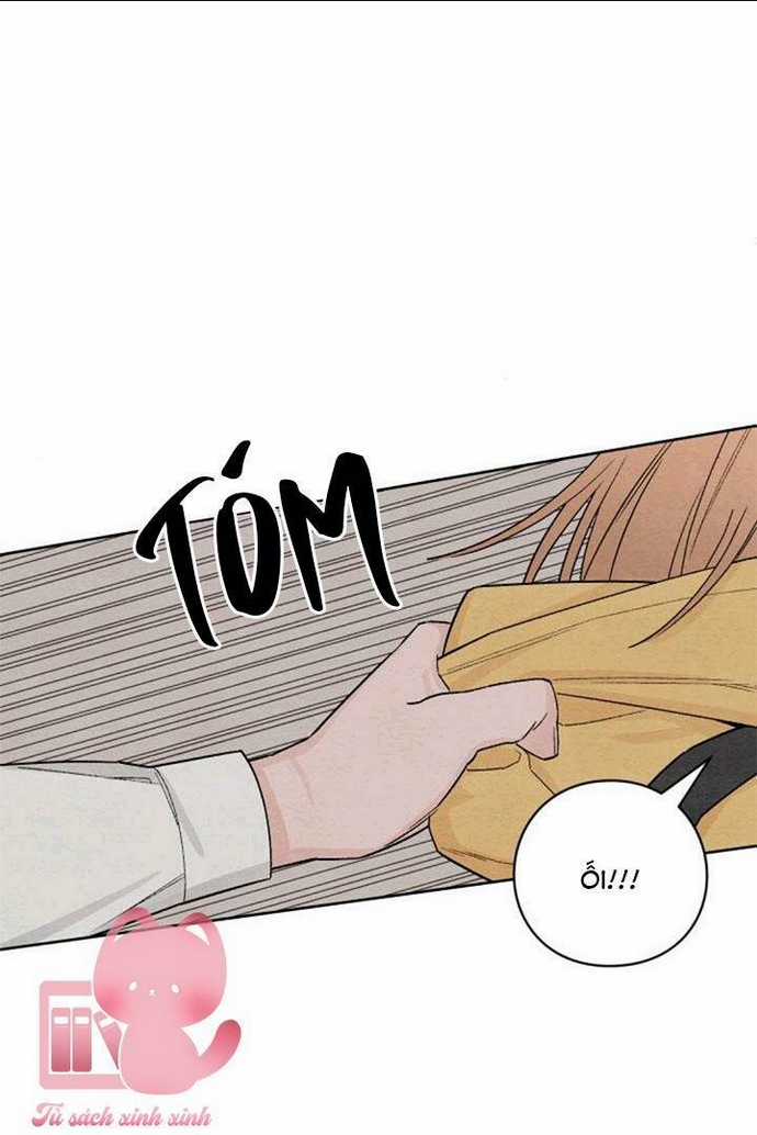 Bí Mật Thanh Xuân - Chapter 8 - Trang 8