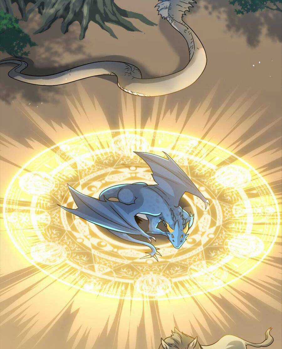 Bí Pháp Ngự Rồng - Chapter 33 - Trang 17