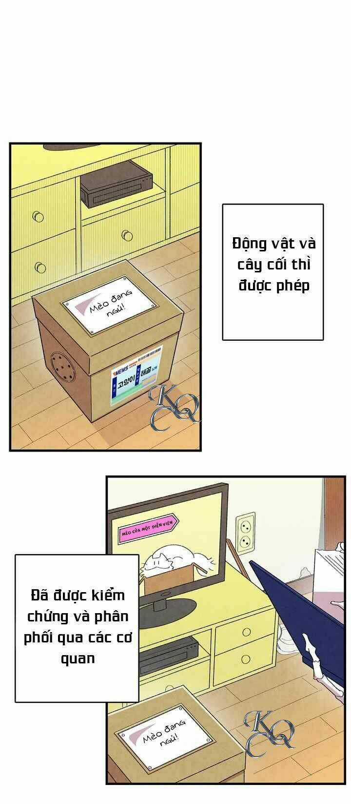 Biến Đổi - Metamorphosis - Chapter 1 - Trang 48