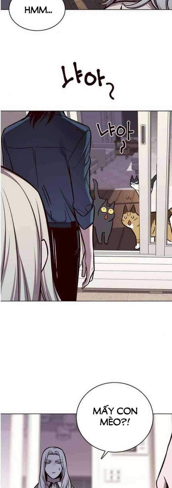 Biến Thân Thành Mèo - Chapter 138 - Trang 61
