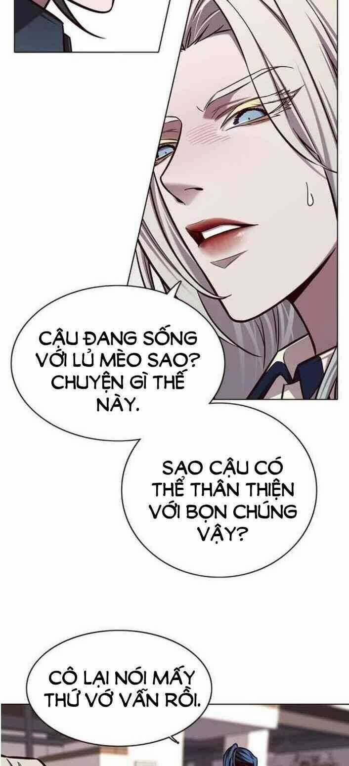 Biến Thân Thành Mèo - Chapter 138 - Trang 65