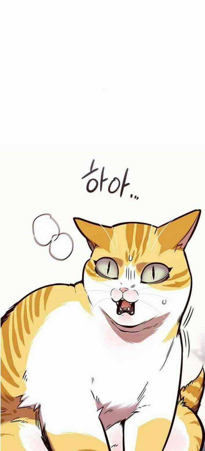 Biến Thân Thành Mèo - Chapter 138 - Trang 72