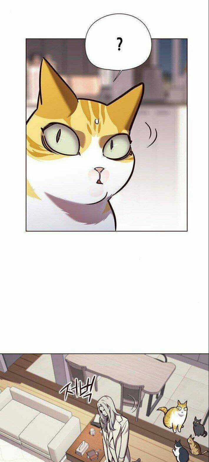 Biến Thân Thành Mèo - Chapter 139 - Trang 6