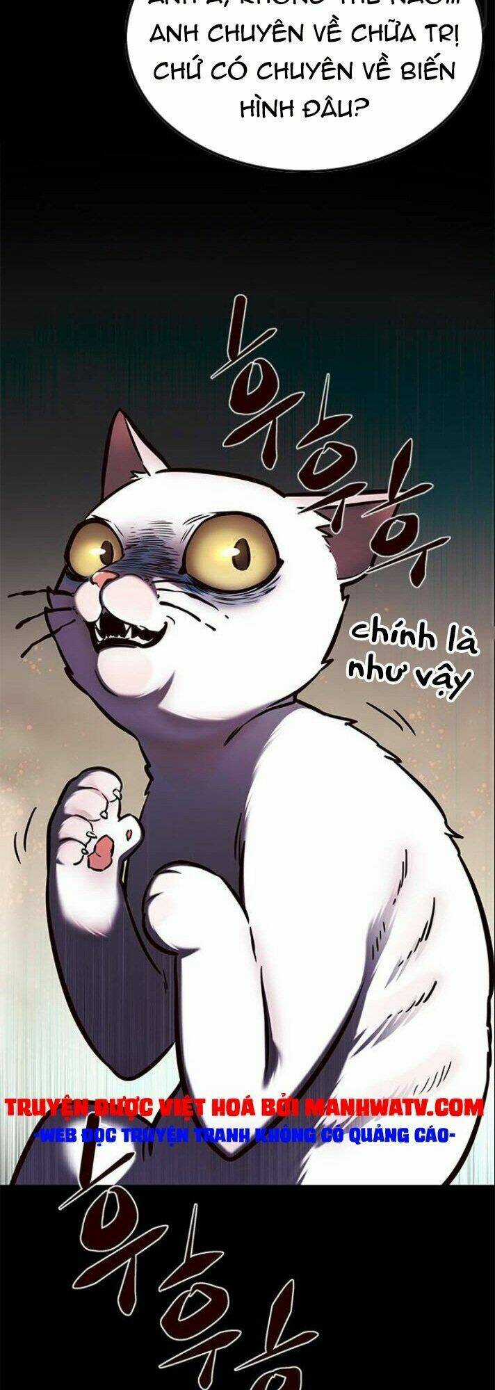 Biến Thân Thành Mèo - Chapter 142 - Trang 12