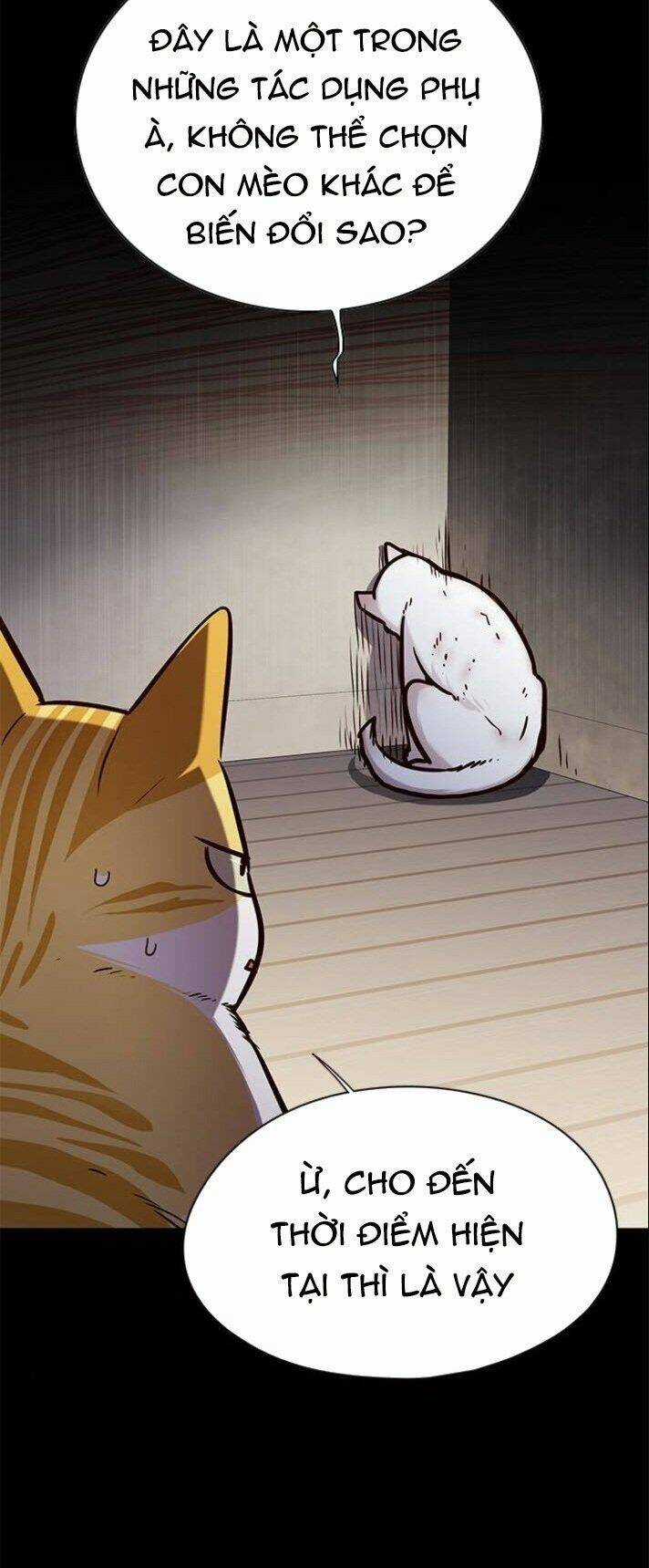 Biến Thân Thành Mèo - Chapter 142 - Trang 6