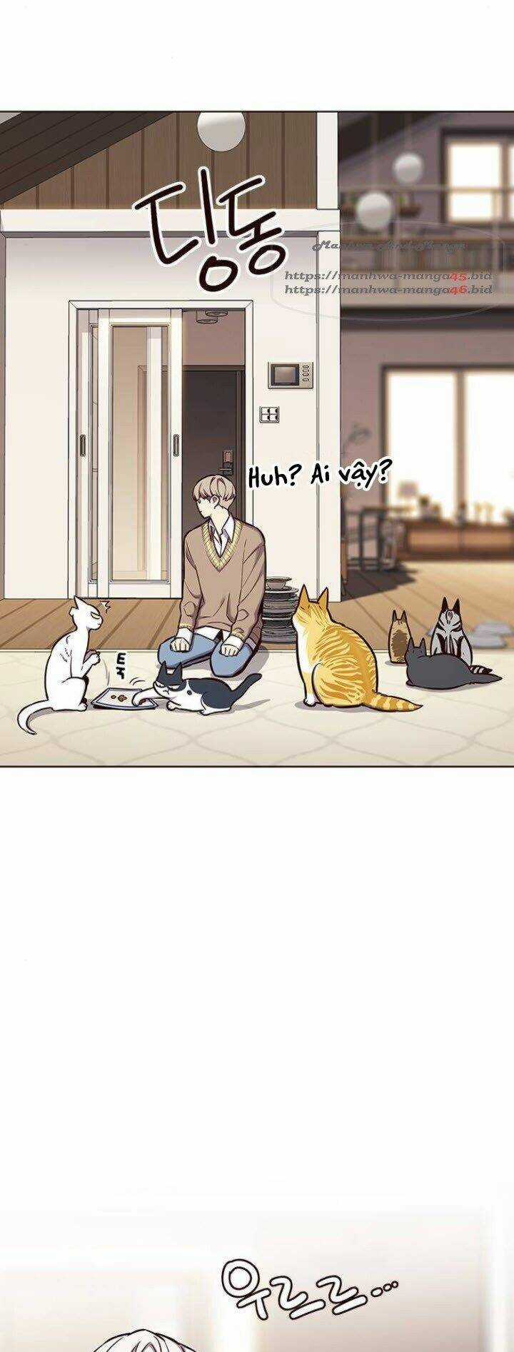 Biến Thân Thành Mèo - Chapter 143 - Trang 37