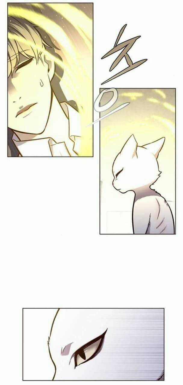 Biến Thân Thành Mèo - Chapter 144 - Trang 3