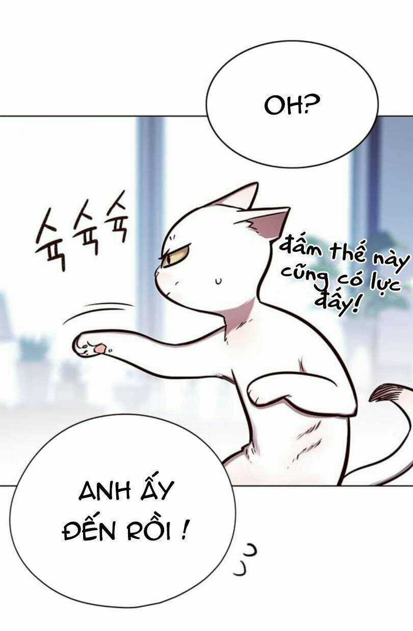 Biến Thân Thành Mèo - Chapter 144 - Trang 24