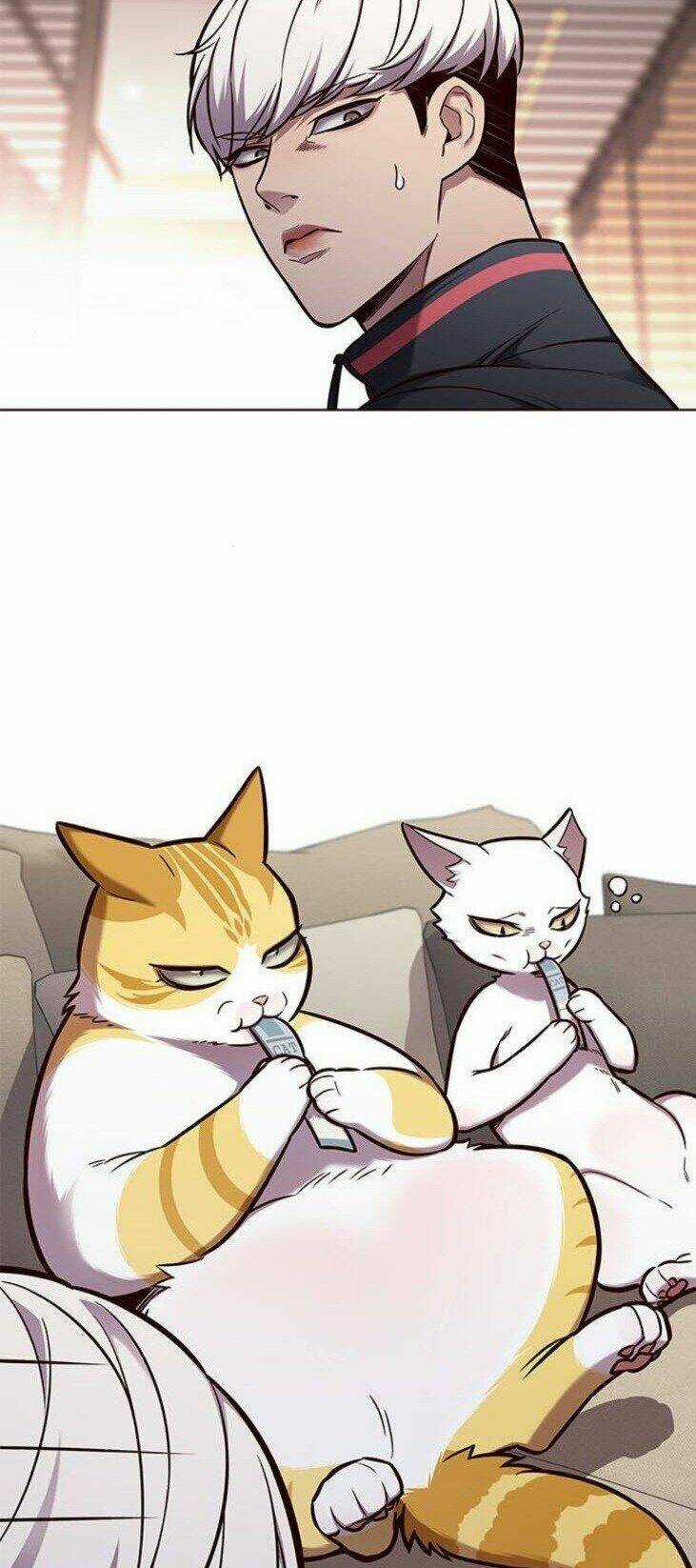 Biến Thân Thành Mèo - Chapter 146 - Trang 18