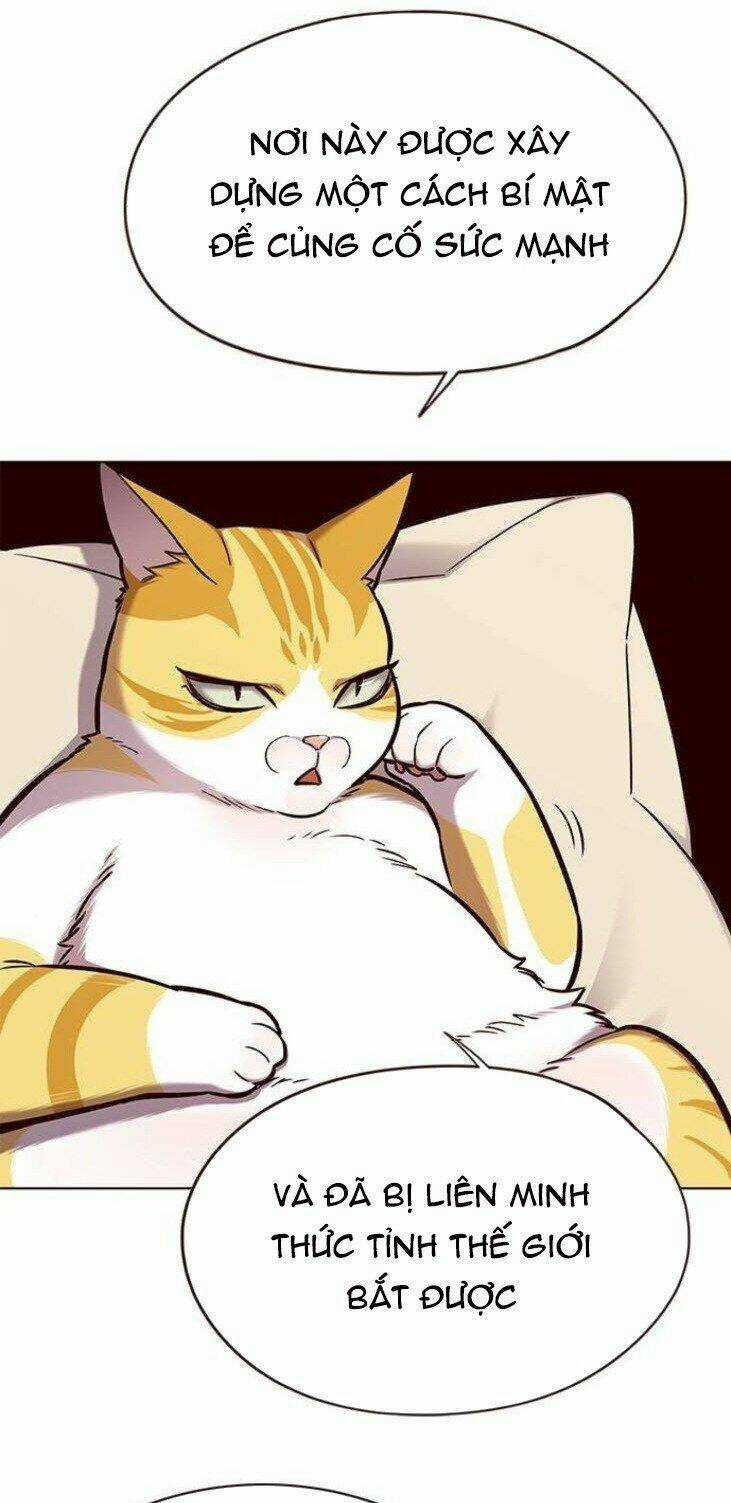 Biến Thân Thành Mèo - Chapter 146 - Trang 34