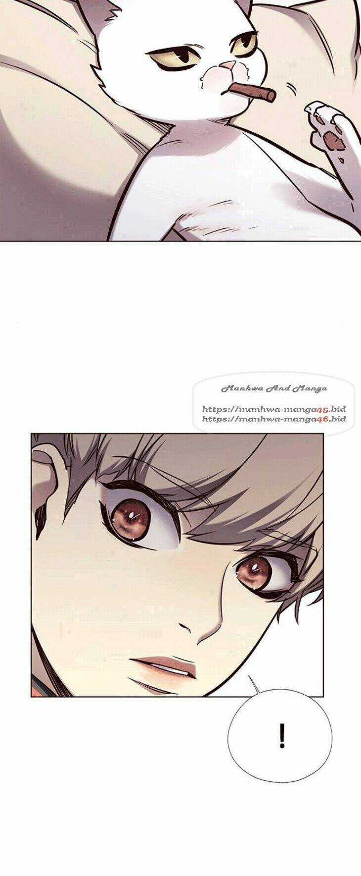 Biến Thân Thành Mèo - Chapter 148 - Trang 10