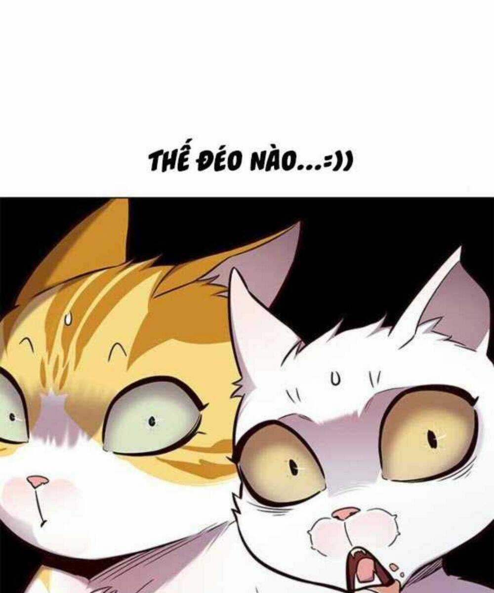 Biến Thân Thành Mèo - Chapter 154 - Trang 103