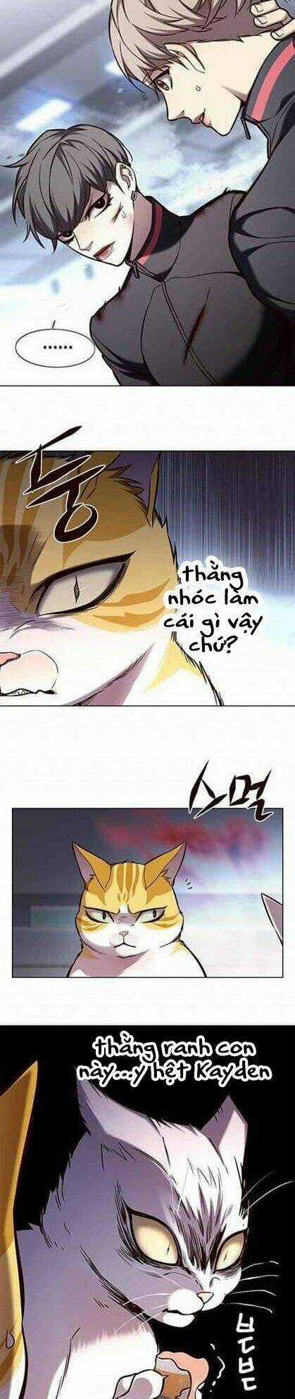 Biến Thân Thành Mèo - Chapter 155 - Trang 5