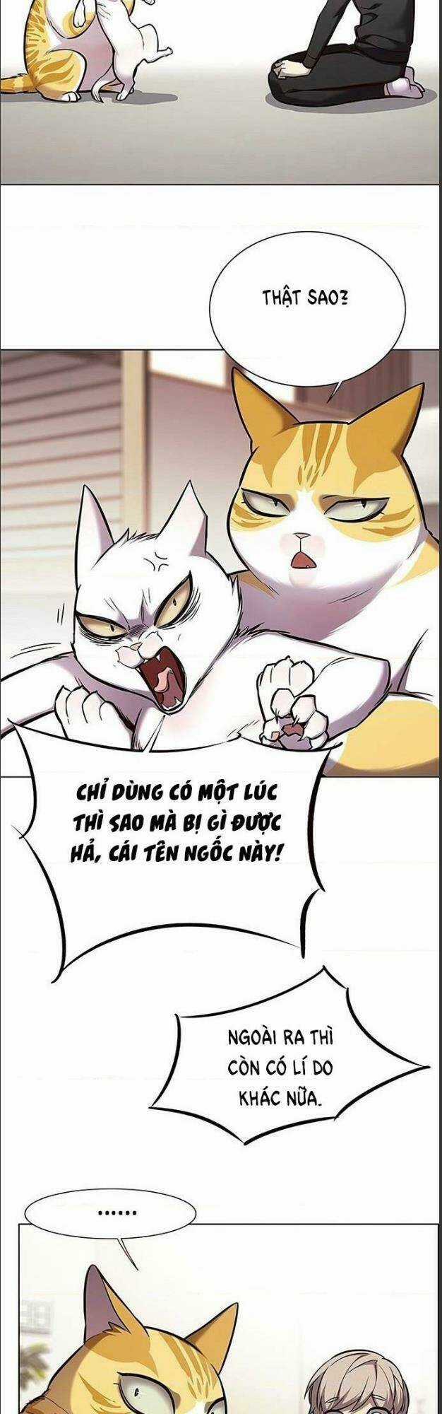 Biến Thân Thành Mèo - Chapter 156 - Trang 3