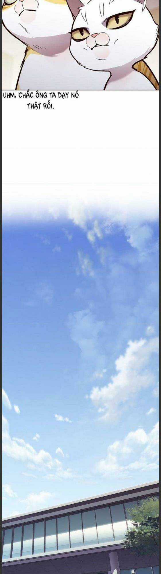 Biến Thân Thành Mèo - Chapter 157 - Trang 32