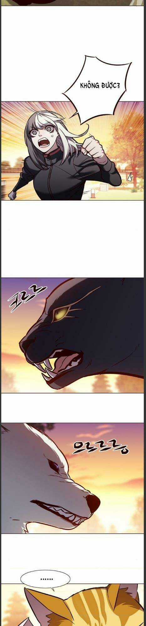 Biến Thân Thành Mèo - Chapter 161 - Trang 23