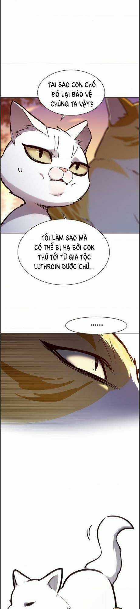 Biến Thân Thành Mèo - Chapter 161 - Trang 34