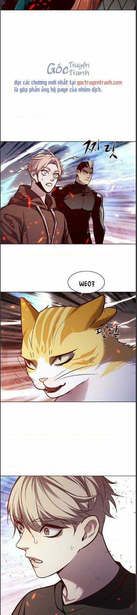 Biến Thân Thành Mèo - Chapter 162 - Trang 33
