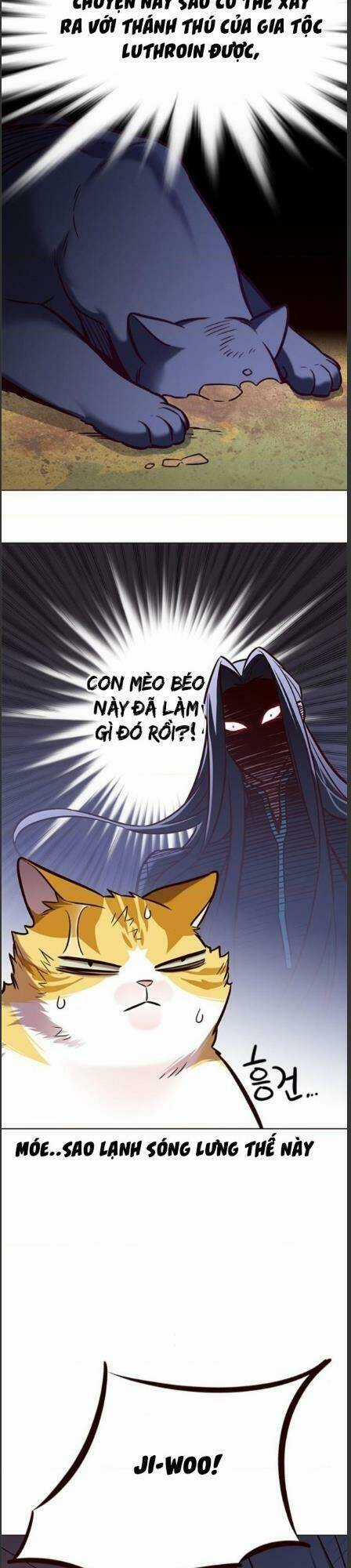 Biến Thân Thành Mèo - Chapter 162 - Trang 6