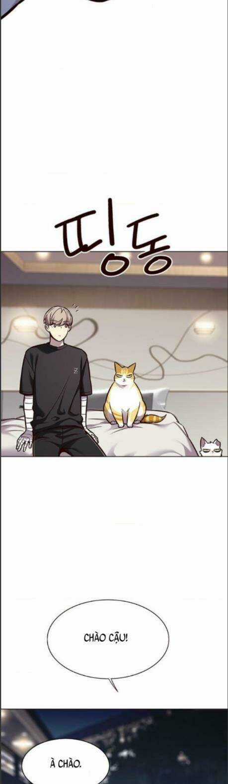 Biến Thân Thành Mèo - Chapter 164 - Trang 15