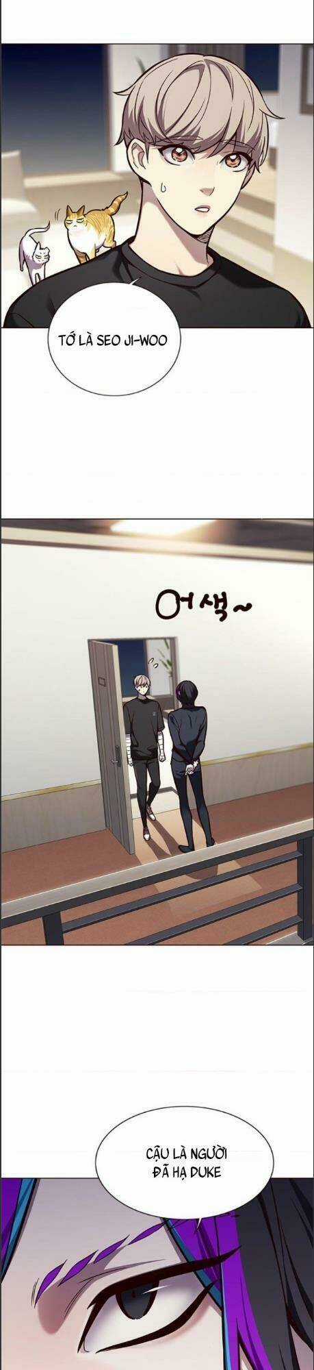 Biến Thân Thành Mèo - Chapter 164 - Trang 17