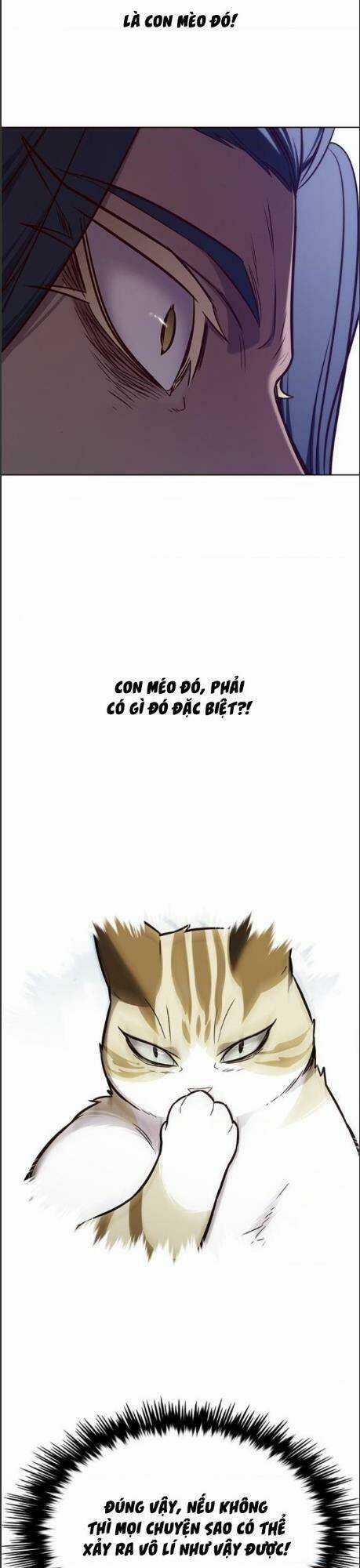 Biến Thân Thành Mèo - Chapter 164 - Trang 33