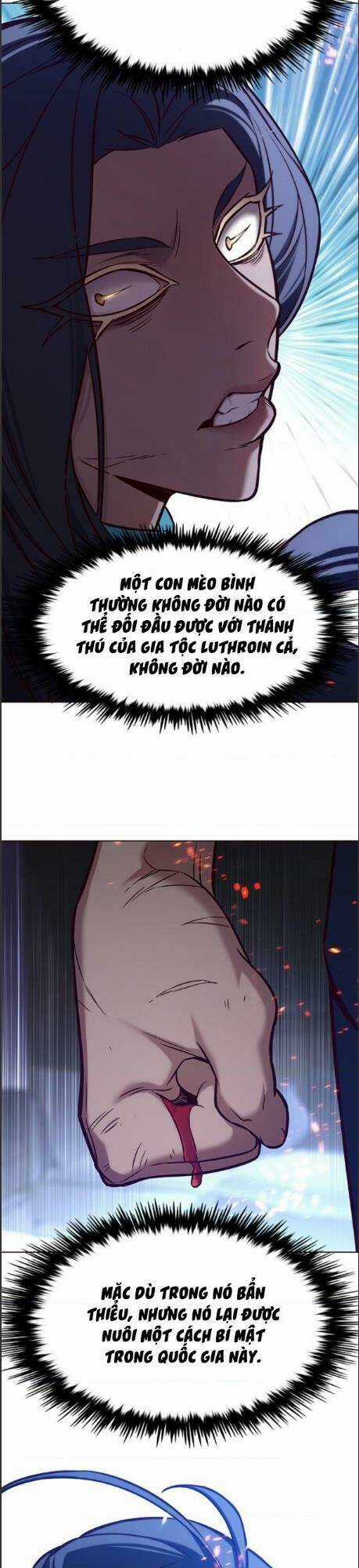 Biến Thân Thành Mèo - Chapter 164 - Trang 34