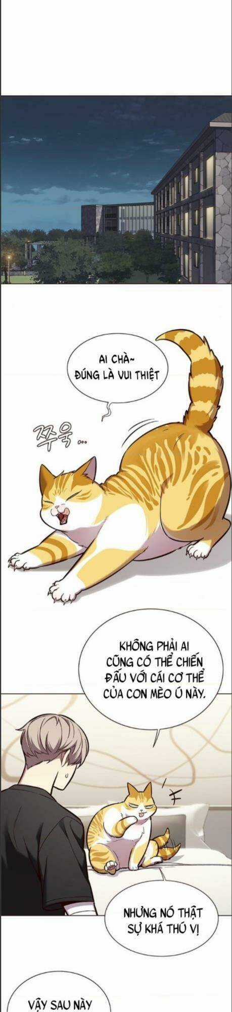 Biến Thân Thành Mèo - Chapter 164 - Trang 9