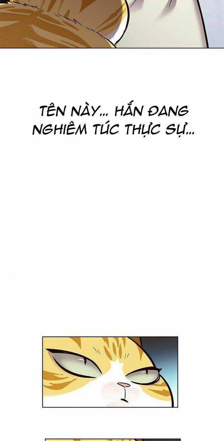 Biến Thân Thành Mèo - Chapter 165 - Trang 80