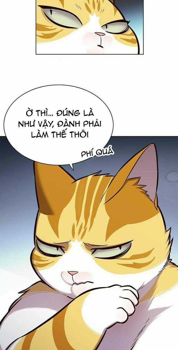 Biến Thân Thành Mèo - Chapter 165 - Trang 81