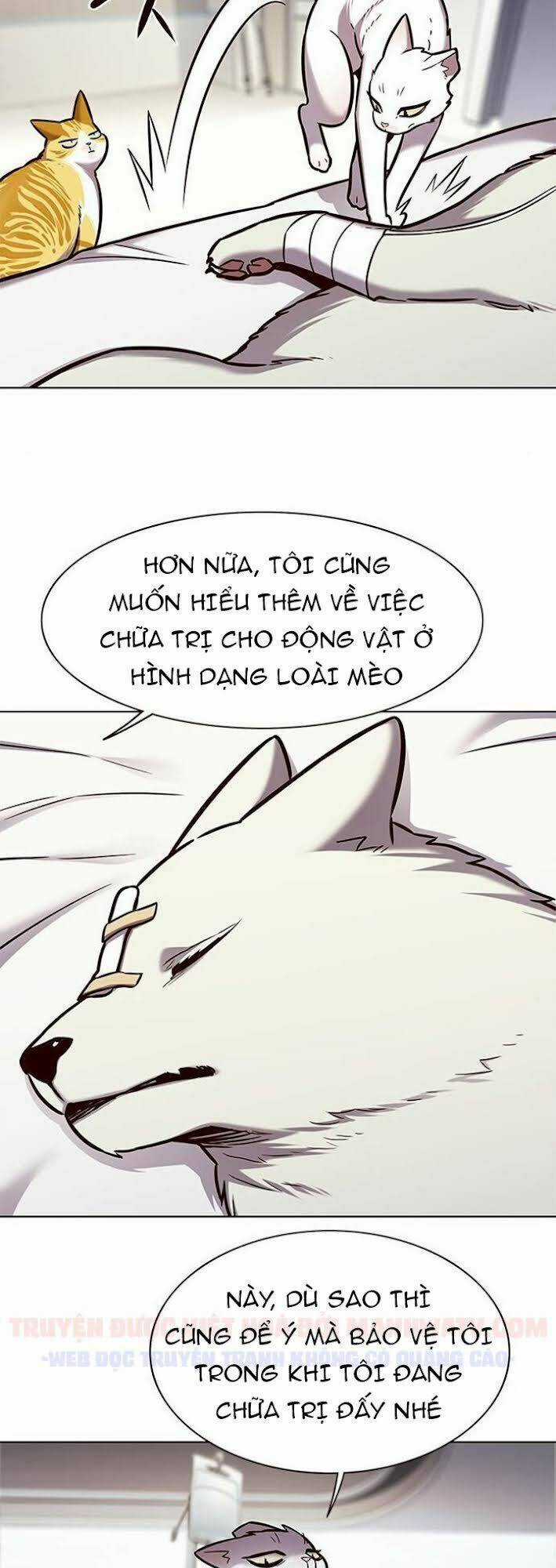 Biến Thân Thành Mèo - Chapter 166 - Trang 11
