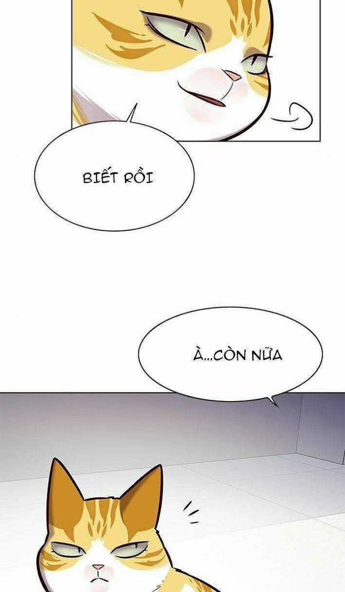 Biến Thân Thành Mèo - Chapter 166 - Trang 13
