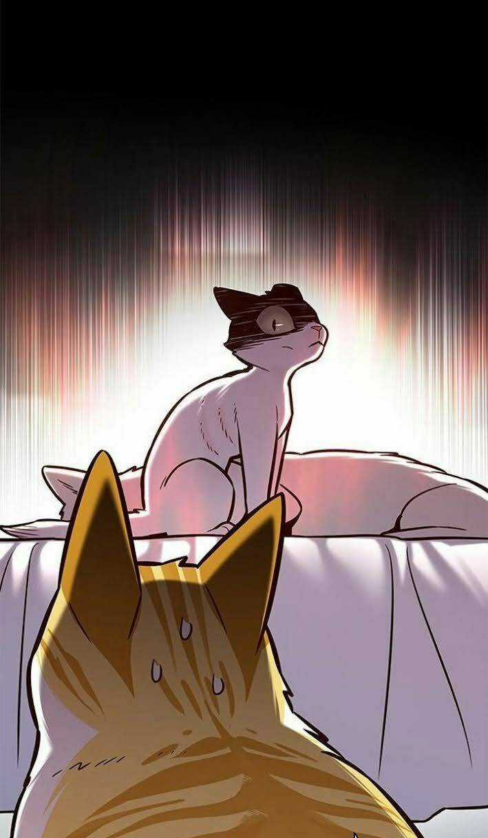 Biến Thân Thành Mèo - Chapter 166 - Trang 15